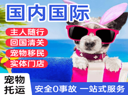 海口美兰机场快运国际宠物托运 【国